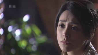 国产泰瑟视频,揭秘神秘国产电击器的威力与争议