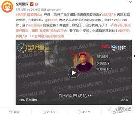 在线外流视频国产,本土视角下的全球文化交融