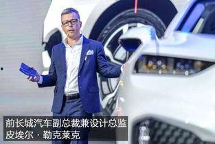 外国人坐国产商务汽车视频,外国人体验非凡之旅