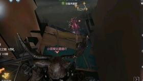 国产小视频哪里能看到,揭秘热门平台观看指南